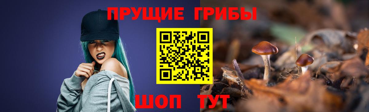 Галлюциногенные грибы GOLDEN TEACHER  Вход с VPN  Псилоцибиновые грибы прущие грибы  Мыски 